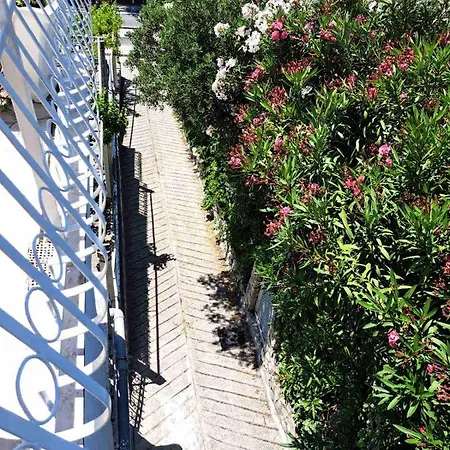 Blue Pearl Appartement *