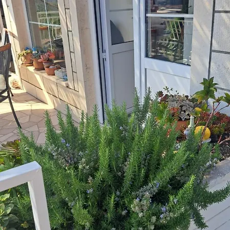 Blue Pearl Appartement *