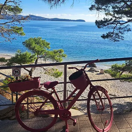 公寓 Blue Pearl 米利尼