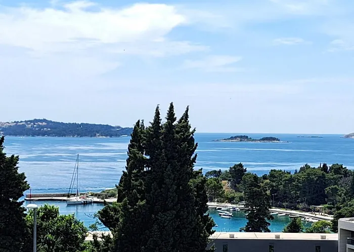 公寓 Blue Pearl 米利尼