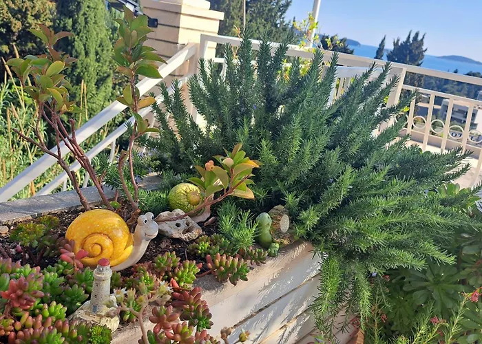 Blue Pearl 米利尼