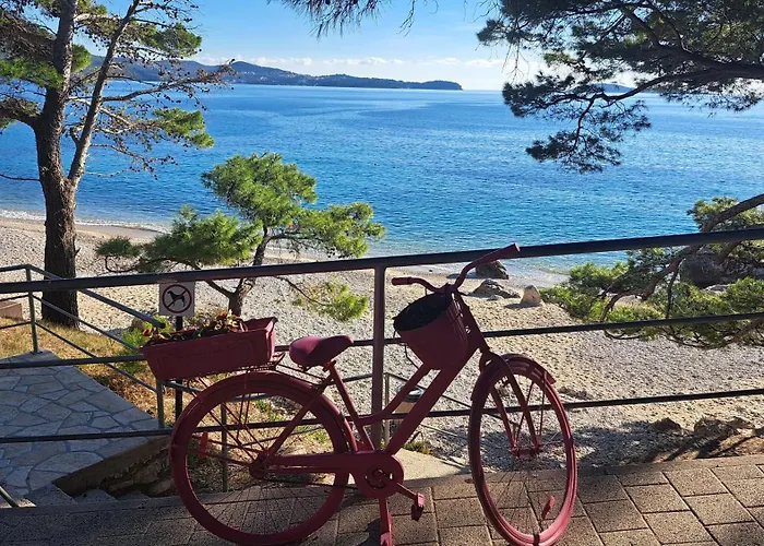 公寓 Blue Pearl 米利尼