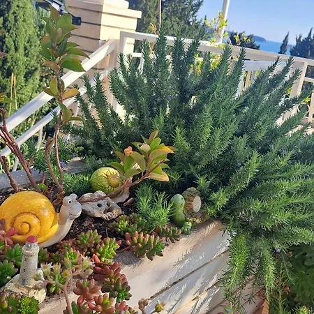 Blue Pearl مْليني