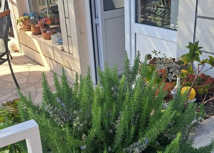 Blue Pearl Apartment *