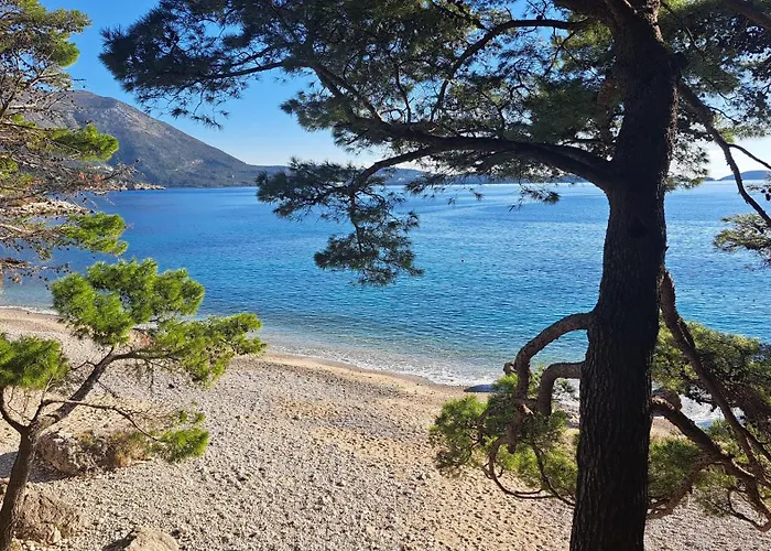 Blue Pearl Apartment